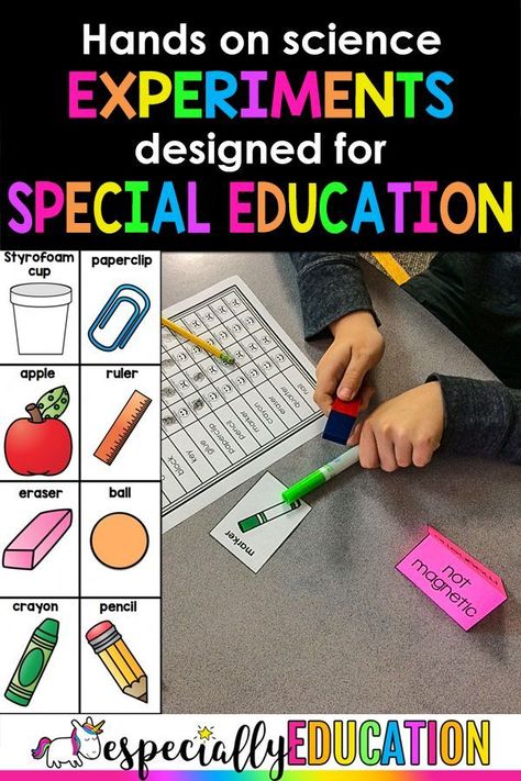 As a special education teacher, I know the challenge of differentiating instruction. While my district provides a specialized reading and math curriculum for special education classrooms, they are seriously lacking in the science and social studies department. My TPT store provides teachers adapted resources that meets the needs of your students with engaging, hands-on activities that make learning exciting and appropriate. Special Education Paraprofessional, Special Education Quotes, Special Education Science, Special Education Lesson Plans, High School Special Education, Kindergarten Special Education, Life Skills Classroom, Special Education Activities, Special Education Elementary