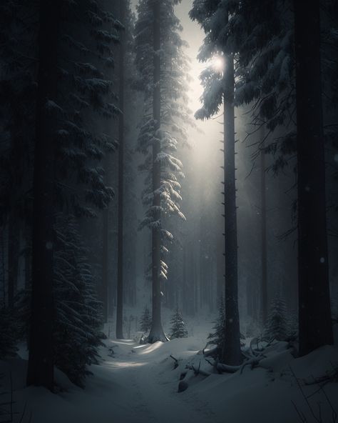 Snowy Forest Photography, Snowy Pine Forest, Nuclear Winter Aesthetic, Fantasy Winter Aesthetic, Snow Forest Aesthetic, First Snow Aesthetic, Winter Nature Aesthetic, Snow Forest Painting, Dark Snowy Forest