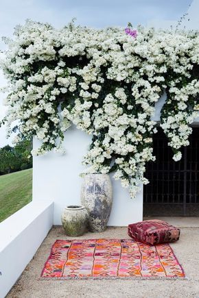 Colourful Rug, Best Front Doors, Beautiful Front Doors, Backyard Flowers, Front Yard Fence, Fence Landscaping, Pergola Plans, Backyard Fences, White Gardens