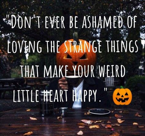 Ready For Spooky Season Quotes, Halloween Time Quotes, Oct 1st Quotes, Funny Halloween Sayings Quotes, Memes Halloween, Weird Halloween, Quotes Halloween, October Quotes, Halloween Humor