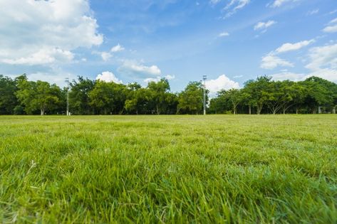 Landscape of grass field and green envir... | Premium Photo #Freepik #photo #background #tree #city #summer Hdri Images Environment, Hdri Images Background, Trees For Front Yard Landscaping, Small Trees For Front Yard, Nature Background Landscape, Outside Background, Elevation Rendering, Yard Background, Environment Background