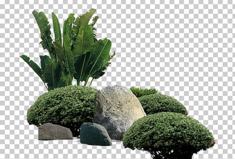 Amusement Park Art, Rockery Garden, Photoshop Landscape, Lukisan Lanskap, Landscape Design Drawings, Photoshop Rendering, Tree Plan, Tree Png, Architecture Collage