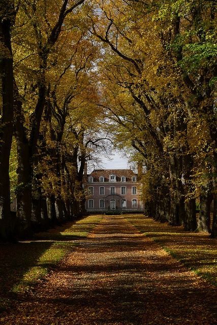 Stunnimg mansion in the northern french countryside, St. Cheron to be precise. #CountrysideHomes Leaves On The Ground, Cinematic Film, English Manor, Chateau France, Manor House, On The Ground, In The Fall, My Dream Home, Old House