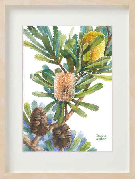 Australian Nature, Living Overseas, Botanical Artists, Australian Natives, Australian Wildflowers, Australian Flowers, Australian Native Flowers, Australian Plants, Mural Ideas