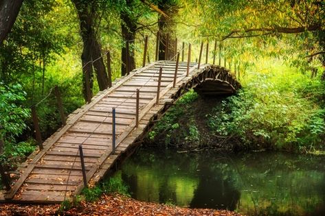 Wooden bridge accross the river. rustic ... | Premium Photo #Freepik #photo #wood #leaf #green #forest Wooden Bridge Drawing, Totoro Moodboard, River With Bridge, Bridge In Forest, Bridge In The Woods, Bridge Scenery, Old Wooden Bridge, Forest Bridge, Nature Bridge