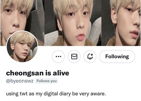 Twt Bio Ideas, Bio Ideas Aesthetic, Bio Ideas, Ideas Aesthetic, Digital Diary, Memes, Quick Saves