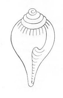 The Conch Shell (Skt. shankha; Tib. dung dkar): - Spiritual World Shankh Tattoo Design, Shankha Design Painting, Shell Drawing Simple, Vedic Symbols, Shankha Design, Conch Shell Drawing, Conch Drawing, Shells Drawing, Shell Drawings