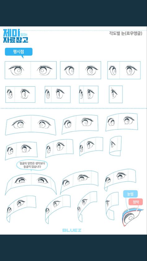 Perspective Eyes Drawing, Head Tips Drawing, Eye Construction Drawing, Anime Eyes Perspective, Anime Face Perspective, Eye Perspective Reference, Eyes Perspective Drawing, Eyes In Perspective, Eye Drawing Perspective