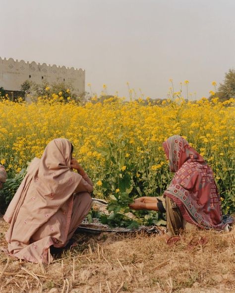 Different Cultures Aesthetic, Punjab Aesthetic, Punjabi Aesthetic, Pakistan Aesthetic, Model Saree, India Aesthetic, South Asian Aesthetic, Pakistani Culture, Punjabi Culture