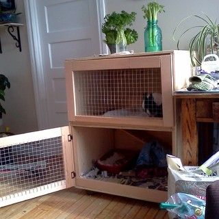 Build an indoor rabbit cage Diy Bunny Hutch, Wire Rabbit Cages, Diy Bunny Cage, Rabbit Hutch Plans, Pig Habitat, Diy Rabbit Cage, Rabbit Hutch Indoor, Indoor Rabbit Cage, Diy Rabbit Hutch