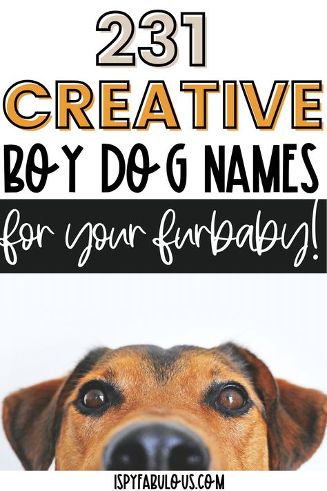 Cute Dog Names Male, Fun Dog Names, Food Dog Names, Food Names For Dogs, Boy Puppy Names Unique, Clever Dog Names, Male Dog Names Unique, Unusual Dog Names