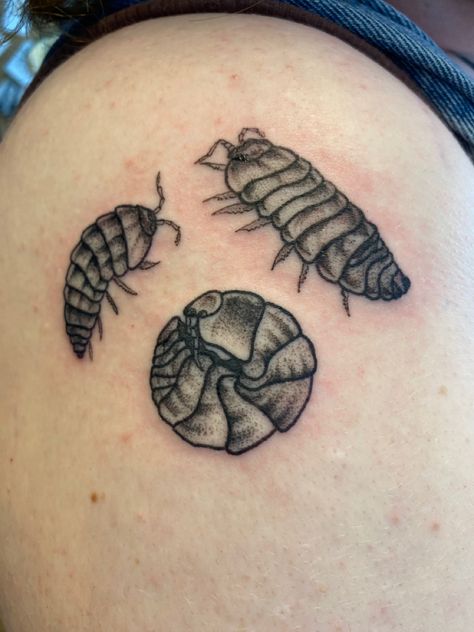 my woodlouse tattoo :-) Send It Tattoo, Maggot Tattoo, Pillbug Tattoo, Woodlouse Tattoo, Potato Bug Tattoo, Roly Poly Tattoo, Pill Bug Tattoo, Rollie Pollie Tattoo, Rolly Polly Tattoo