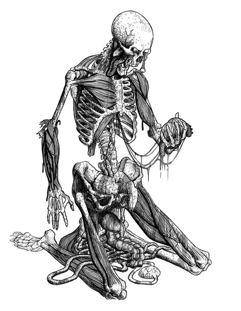 holding his heart in his hand on Behance Someone Holding Book Reference, Holding Skull Reference Drawing, Skeleton Drawing Poses, Hand Holding Heart Reference, Hand Squeezing Heart Drawing, Holding Heart In Hand, Hands Holding Something Drawing, Holding Heart Reference, Holding A Heart Drawing