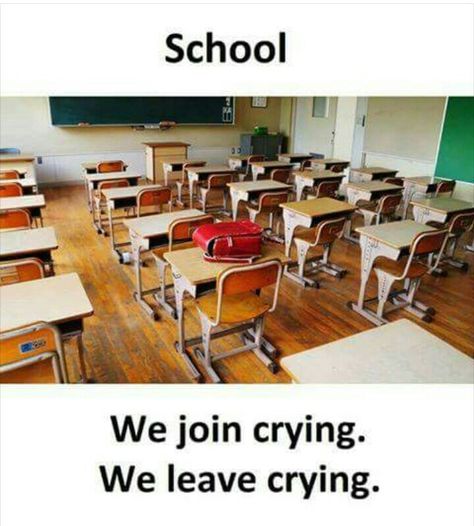 Yes this thing is true when I will leave my school I will very cry I am very sure about this I will always miss my The best friends. Leaving School Quotes, School Days Quotes, School Life Memories, School Life Quotes, Childhood Memories Quotes, Bff Quotes Funny, Parenting Teenagers, School Jokes, School Quotes Funny