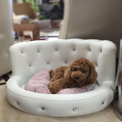 Leather Dog Bed, Dog Bedroom, Cute Dog Beds, Puppy Kennel, Puppy Room, Sofa Luxury, Diy Dog Bed, Dog Sofa Bed, Dog Bed Furniture