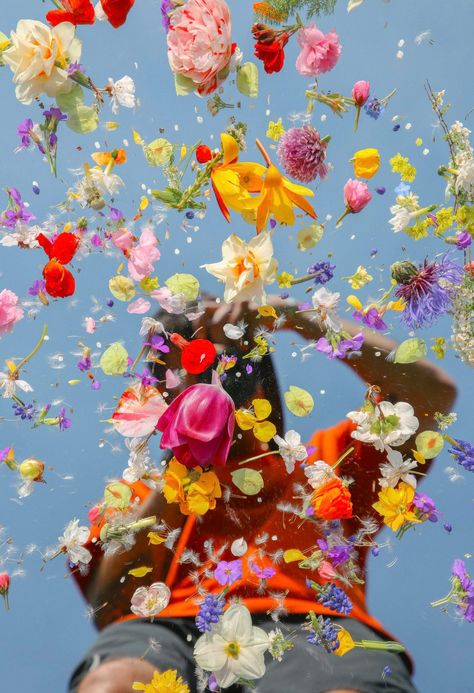 Inspired by his family traditions, this British photographer and artist takes floral art to a whole new and virtual level with his dazzling blocks. Joe Horner, Giving Flowers, Flower Photoshoot, Metal Magazine, Types Of Photography, Artistic Photography, Flower Boxes, Flowers Photography, Daffodils