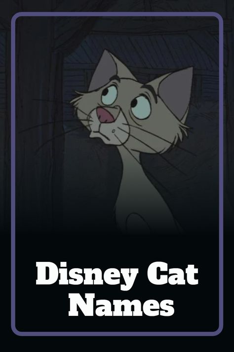 Looking for a Disney name for your new feline friend? Check out our list of cat names, inspired by Disney cats! Disney Cats Names, Name For Cats, Male Cat Names Unique, Disney Pet Names, Disney Cat Names, Disney Cat Characters, Male Disney Characters, List Of Cat Names, Cat Names List