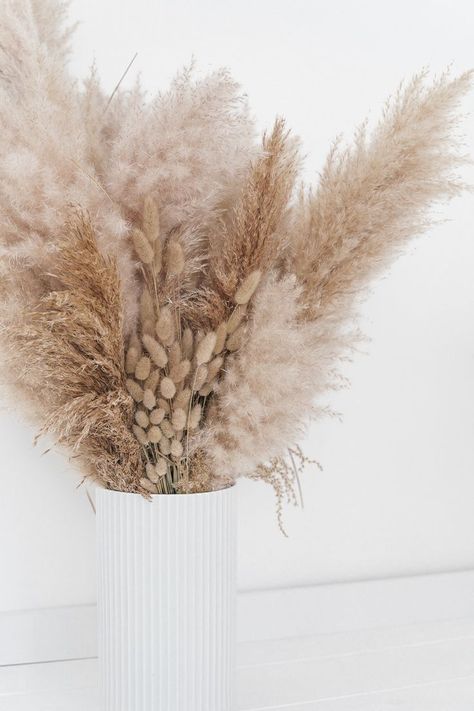 Dried Plants, Eco Brand, Grass Decor, Pampas Grass Decor, Instagram Image, Beige Wallpaper, Room Deco, Deco Floral, Flower Phone Wallpaper