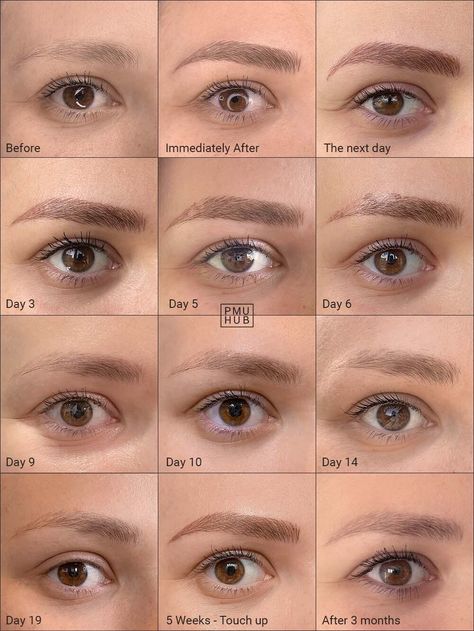 All About Nanoblading - Effects, Price, Before & After Microblading Eyebrows Training, Microblading Healing Process, Mircoblading Eyebrows, Tattoo Healing Process, Eyebrow Before And After, Tattoo Healing, Eyebrow Shading, Eyebrow Design, Semi Permanent Makeup