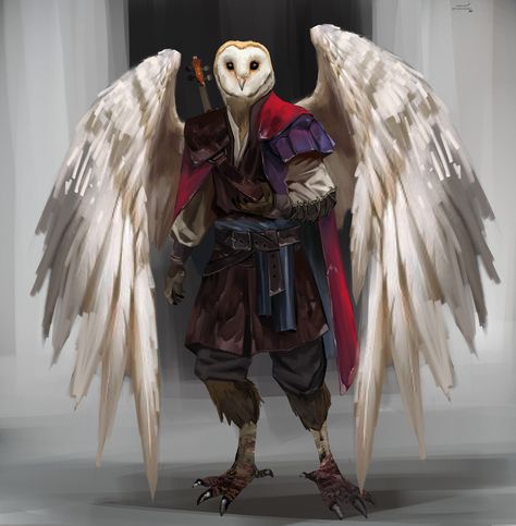 Owlin Ranger 5e, Owlin Dnd Bard, Owlin Dnd Ranger, Owlin Dnd Sorcerer, Owlkin Fantasy Art, Owlin Dnd Barbarian, Dnd Owl Familiar Art, Owlin Wizard 5e, Dnd Owlin Paladin