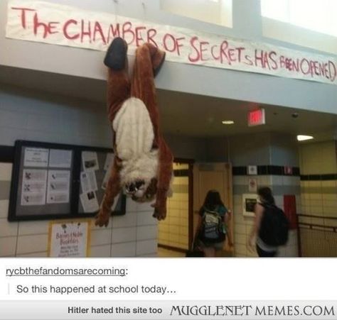 The chamber of secrets has been opened! This seriously made me LOL. School Pranks, Image Meme, Senior Pranks, Chamber Of Secrets, Mischief Managed, Harry Potter Memes, Funny Love, Funny Pranks, Hogwarts