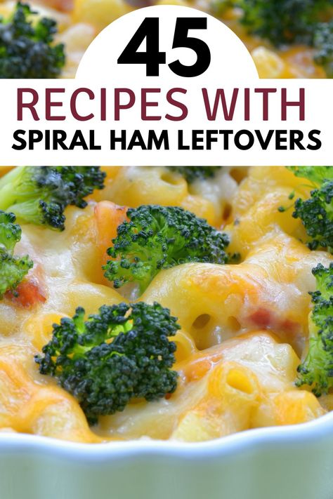 Wondering what to do with leftover spiral ham? Dive into our leftover ham recipes! From cozy casseroles to flavorful soups, we've got the perfect solutions to make your ham leftovers the star of your next family dinner. Recipes That Use Leftover Ham, Soup Recipes With Leftover Ham, Dinner Recipes With Leftover Ham, Recipes With Spiral Ham Leftovers, Recipe Leftover Ham, Spiral Ham Leftovers, Leftover Ham Roast Recipes, Recipes Using Ham Pieces, Using Ham Leftovers