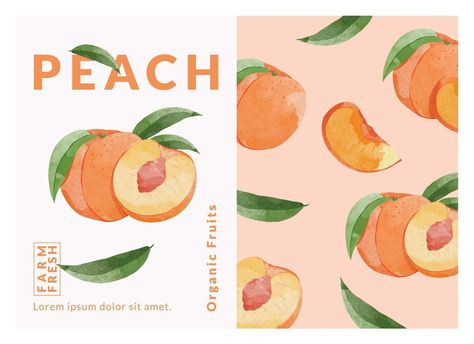 Fruit Illustration Packaging, Peach Packaging Design, Watercolour Packaging, Cute Food Packaging, Peach Packaging, Fruit Packaging Design, Peach Vector, Polar Seltzer, Current Graphic Design Trends