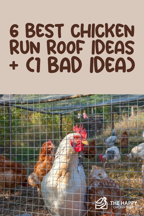 Diy Chicken Run With Roof, Chicken Run With Garden, Chicken Run Roof Diy, Adding A Run To A Chicken Coop, Hen Run Ideas, Chicken Coop Runs Ideas, Inexpensive Chicken Run, Building Chicken Run, Cute Chicken Run Ideas