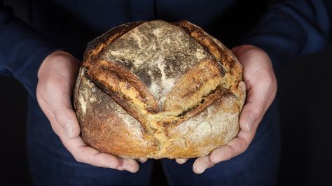 What Is French Miche Bread? Miche Bread Recipe, Miche Bread, Daily Meals, Bread Recipe, Apple News, Bread Baking, Bread Recipes, The History, To Learn