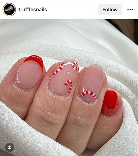 Candy cane nails
Christmas nails idea
Nails idea 2022
Nails of the day
French manicure 
Winter nails
Red nails
Red manicure 
Nails
Short nails Winter Nail French, Chrimbo Nails, Candy Cain Nails, Candy Cane Nails Short, Candy Cane French Tip Nails, Christmas Gel Manicure, Candy Cane Nail Art, Short Christmas Nails, Kids Nails