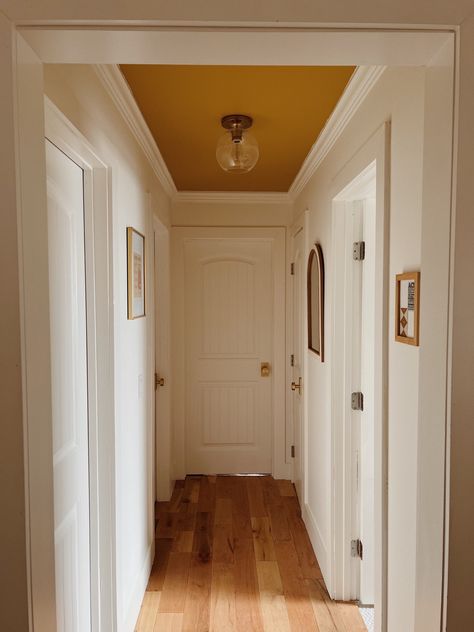 Masonite 30 in. x 80 in. 2 Panel … curated on LTK White Walls Yellow Trim, Mustard Yellow Hallway, Hallway Ceiling Paint Ideas, Yellow Gold Paint Colors, Mustard Hallway, Earth Toned Home, Small Hallway Design, Warm Home Interior, Warm Yellow Paint Colors