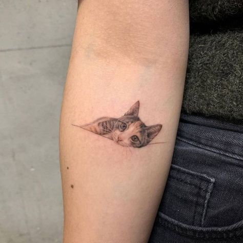 Tatoo Dog, Cat Portrait Tattoos, Artwork Tattoo, Famous Tattoo Artists, Fineline Tattoo, Saved Tattoo, Anklet Tattoos, Cat Tattoo Designs, Hand Poked Tattoo