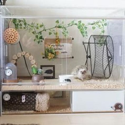 Beautiful house for my hedgie Hedgehog Pet Cage, Kandang Hamster, Hamster Diy Cage, Hedgehog Care, Hedgehog Cage, Landak Mini, Hamster Stuff, Hamster Diy, Hamster Life