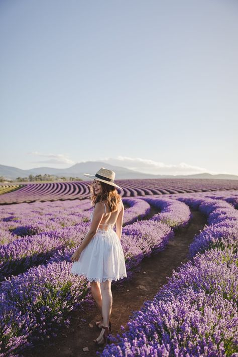 Lavender Photo, Lavender Fields Photography, Flower Photoshoot, Farm Photography, Lavender Field, Lavender Farm, Fields Photography, Amazing Pictures, The Button