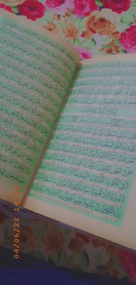 Qur'an Pak ✨💖 Quran Pak, Love Quotes Photos, Food Carving, Quran, Allah, Love Quotes, Bullet Journal, Carving, Quotes