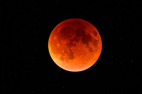 An epic total lunar eclipse is coming to the US this month Blood Moon Lunar Eclipse, Moon Orbit, Partial Eclipse, Travel Quiz, Eclipse Lunar, Eclipse Of The Heart, Moon Surface, Wolf Moon, Lunar Eclipse