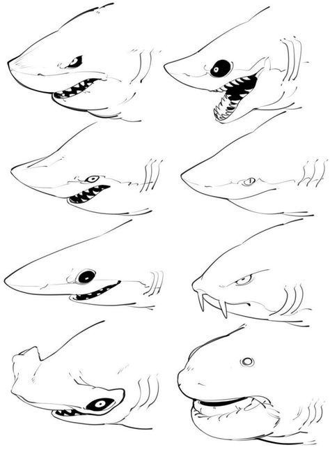 Shark Drawing, Shark Art, Geniale Tattoos, Creature Artwork, Monster Concept Art, Creature Drawings, Concept Art Drawing, White Sharks, Great White Shark