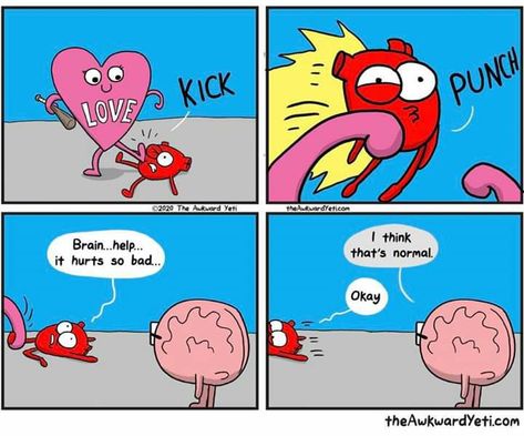 Heart Or Brain, Akward Yeti, Heart And Brain Comic, Heart Vs Brain, Awkward Yeti, The Awkward Yeti, Heart And Brain, Don't Sleep, Science Jokes