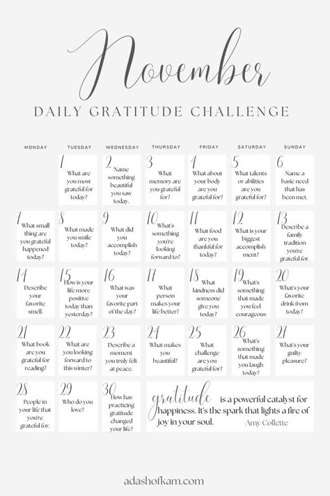 November 2024 Journal Prompts, November Journal Challenge, Thankful November Challenge Kids, Gratitude Writing Prompts, November Fitness Challenge Group Ideas, November Grateful Challenge, November Glow Up Challenge, November Thankful Challenge 30 Day, November Thankful Challenge For Kids