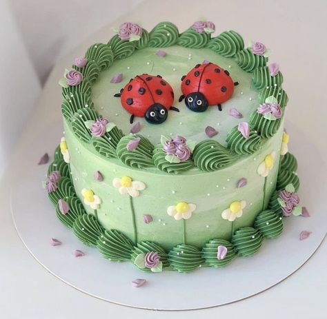 Birthday Cake Ladybug, Bug Cake Ideas, Love Bug Cake, Ladybug Cake Ideas, Ladybug Birthday Cake, Bug Birthday Cakes, Ladybug First Birthday, Ladybird Cake, Ladybug Cakes