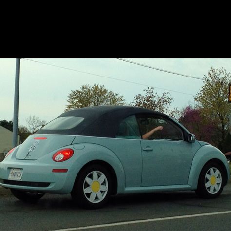 If I ever get my bug, I am so getting these wheel covers! Beetle Cars With Daisy Rims, Volkswagen Beetle Daisy Rims, Daisy Rims, Volkswagen Beetle Decor, Daisy Wheels, Vw Beetle Flower, Car Reference, Green Beetle, Aesthetic Cars