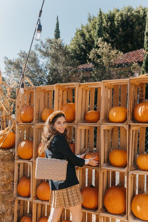 5 Best San Diego Pumpkin Patches. Pumpkin patch photo pose idea. Pumpkin patch photoshoot. Diy Pumpkin Display, Pumpkin Wagon Photoshoot, Pumpkin Patch Photo Props, Pumpkin Patch Set Up Ideas, Pumpkin Patch Photo Op Ideas, Diy Pumpkin Patch Decoration, Pumpkin Patch Ideas Diy, Pumpkin Patch Photo Booth, Pumpkin Patch Photo Backdrop