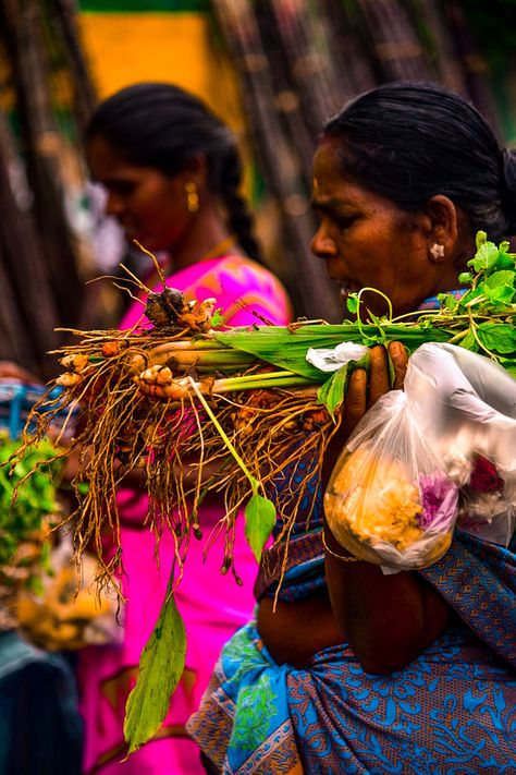 #pongal #recipe #cinematography #story #photography Pongal Photos, Pongal Recipe, Story Photography, Photo Shoot Ideas, Shoot Ideas, Cinematography, Photo Shoot, Image Search, Photography