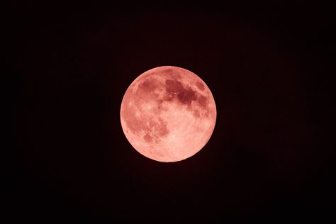 Strawberry Full Moon, Full Moon June, Full Strawberry Moon, Super Full Moon, Full Moon In Capricorn, Moon In Capricorn, Nasa Wallpaper, Strawberry Moon, Full Moon Rising