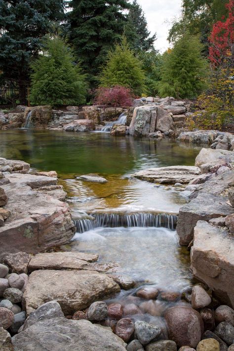 Backyard Stream, Diy Ponds Backyard, Swimming Pool Pond, Kolam Air, Farm Pond, Natural Swimming Ponds, Garden Pond Design, Diy Pond, Pond Waterfall