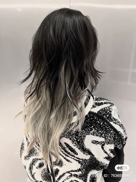 Wolfcut With White Highlights, White Hair With Black Lowlights, Silver Streaks In Black Hair, Black With White Tips Hair, Dyed Wolfcut Hair, Silver Hair With Black Underneath, Black And White Hair Wolfcut, Black And White Layered Hair, Brown Hair With Silver Tips