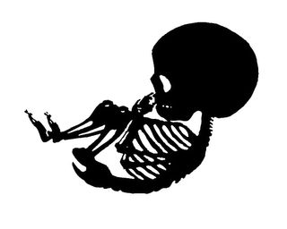 Baby skeleton Baby Skeleton Costume, Skeletons In The Closet, Skeleton Baby, Skeleton Love, Emprendimiento Ideas, Cool Skeleton, I Love Halloween, Skeleton Tattoos, Skeleton Costume