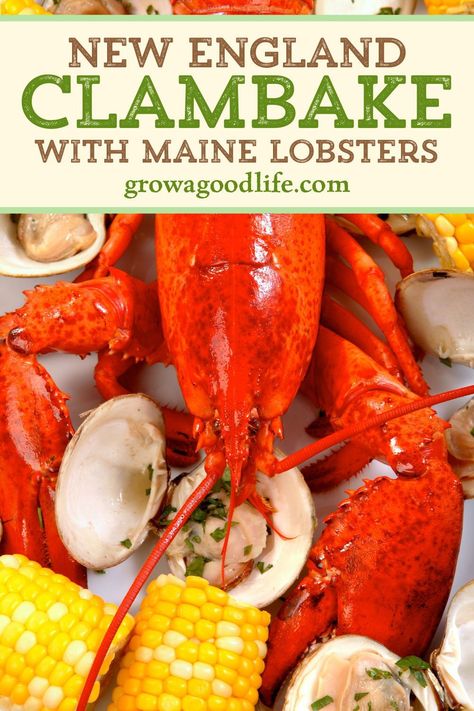 Clambake Recipe, Summer In New England, England Recipes, England Food, Seafood Dinners, Lobster Bake, Lions Den, Summer Food Party, Summer Foods