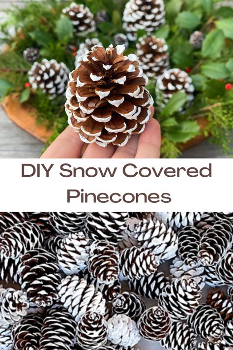 how to make snow covered pinecones Diy Snow Covered Pinecones, Painting Pine Cones For Christmas, Snow Covered Pinecones, How To Frost Pinecones, Glitter Pinecones Diy, How To Clean Pinecones, Painting Pine Cones Diy, How To Treat Pinecones For Crafts, Pine Comb Crafts