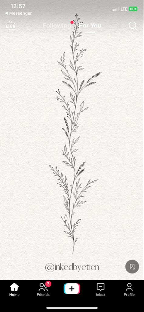 Vining Floral Tattoo, Spine Tattoo Drawing For Women, Dainty Long Flower Tattoos, Fine Line Floral Back Tattoo Women, Fern Spine Tattoos For Women, Fine Vine Tattoo, Spine Tattoos Line Art, Honeysuckle Spine Tattoo, Spine Tattoos Wildflower